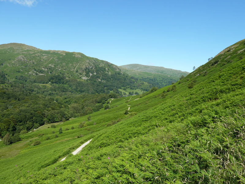 Loughrigg Terrace